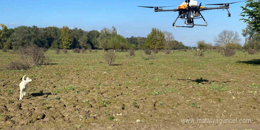 Selde hasar gören mera dron ile tohumlandı