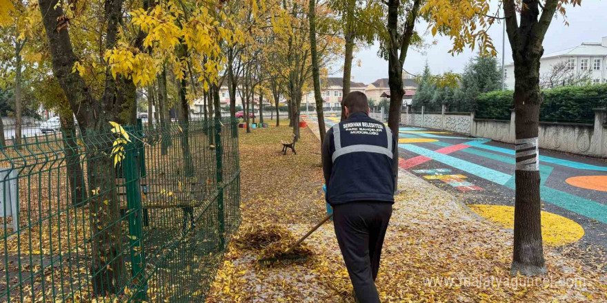 Serdivan’da sonbahar temizliği