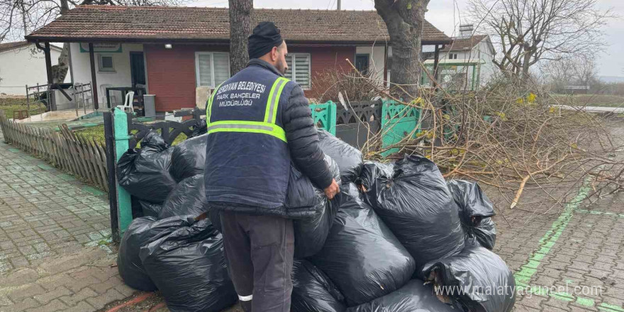 Serdivan’da yeşil alanlara düzenli bakım