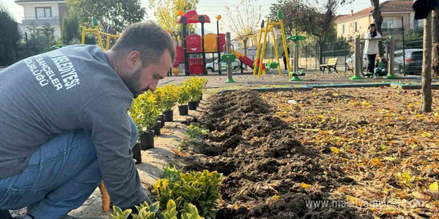 Serdivan’ın yeşil alanları güzelleşiyor