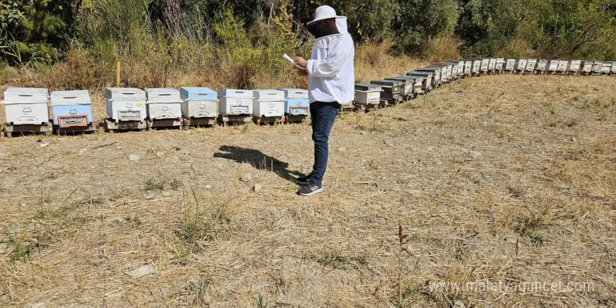 Seydikemer’de arılı kovan tespit çalışmaları devam ediyor