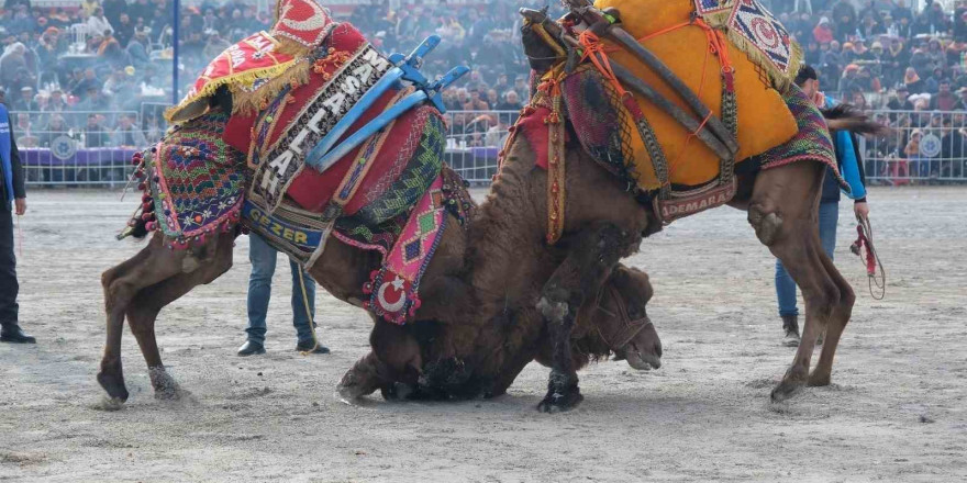 Sezonun ilk güreşi Işıklı’da yapılacak