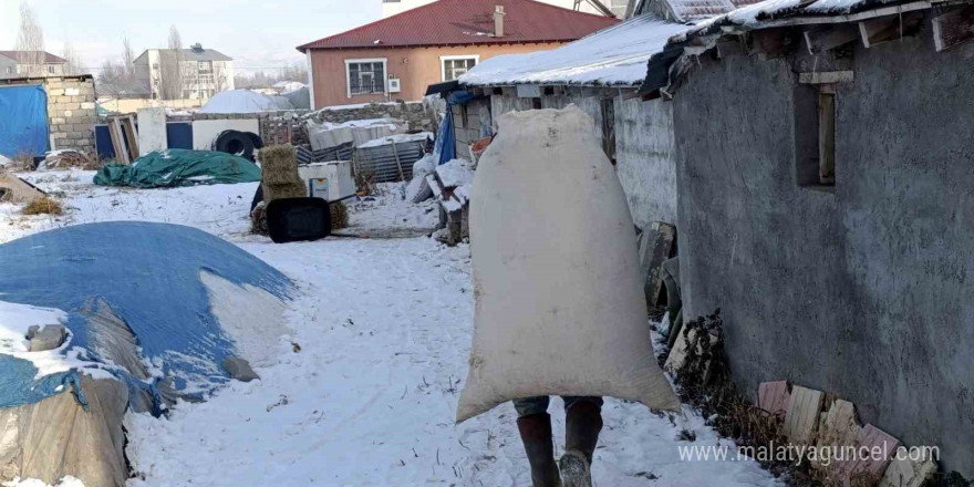 Sibirya soğukları Ağrı’da yaşamı felç etti