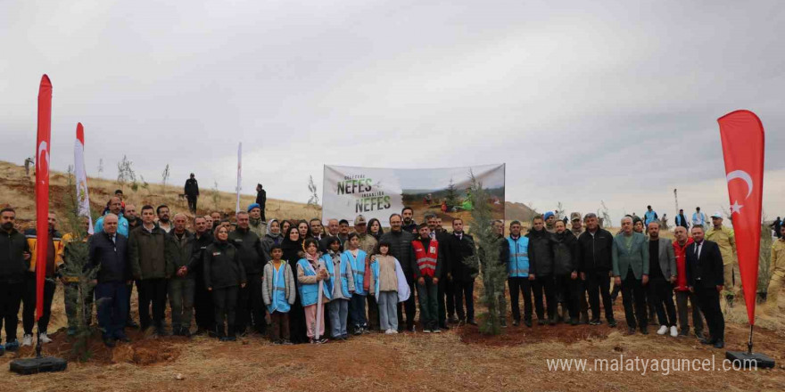 Siirt’te 2 bin 500 fidan toprakla buluştu