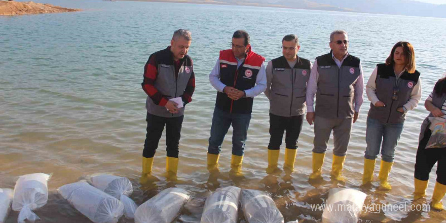 Siirt’te 2 milyon balık yavrusu baraj göllerine bırakıldı