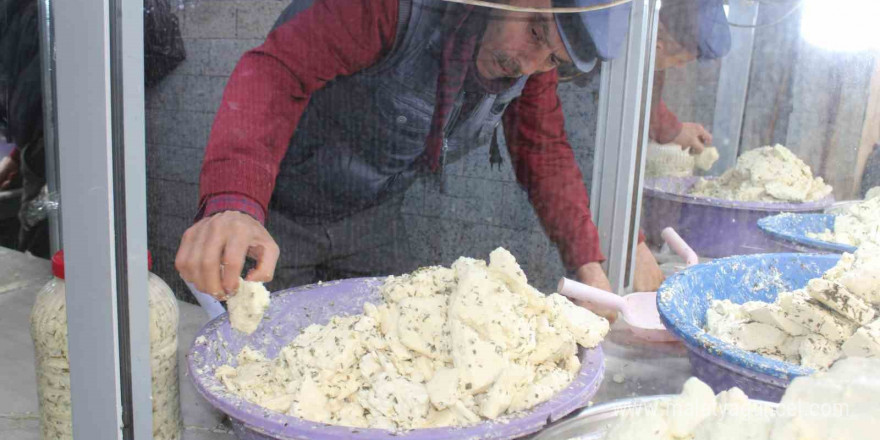 Siirt’te kışlık peynir satışa çıktı