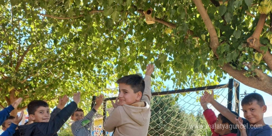 Silvan’da kuş yuvaları ile ekosisteme katkı