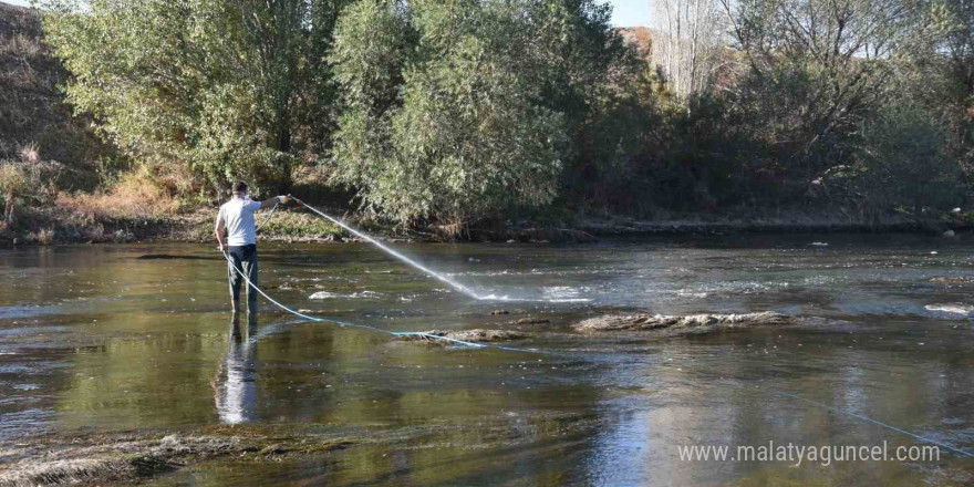 Simillium ile mücadelede yüzde 95 başarı yakaladı