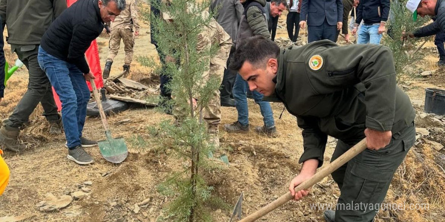 Sincik’te 100 fidan toprakla buluştu