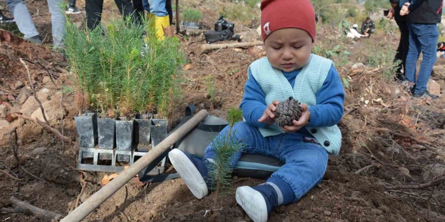 Sındırgı’da 2023 fidan toprakla buluştu