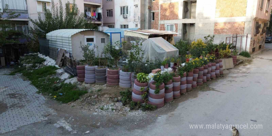 Sinekler üremesin diye topladığı araç lastiklerinden çiçek bahçesi yaptı