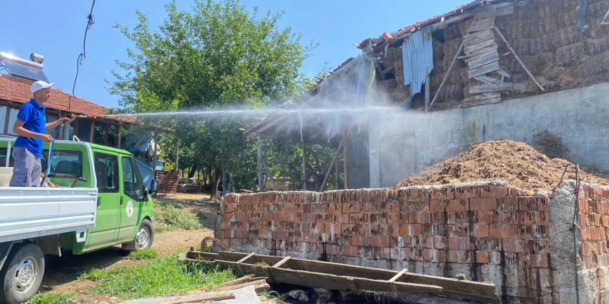 Sineklere karşı mücadele sürüyor