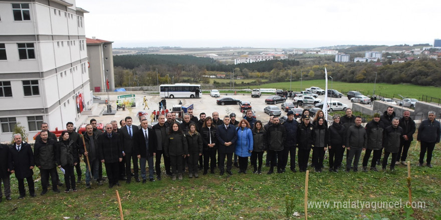 Sinop’ta 11 bin 610 fidan toprakla buluştu