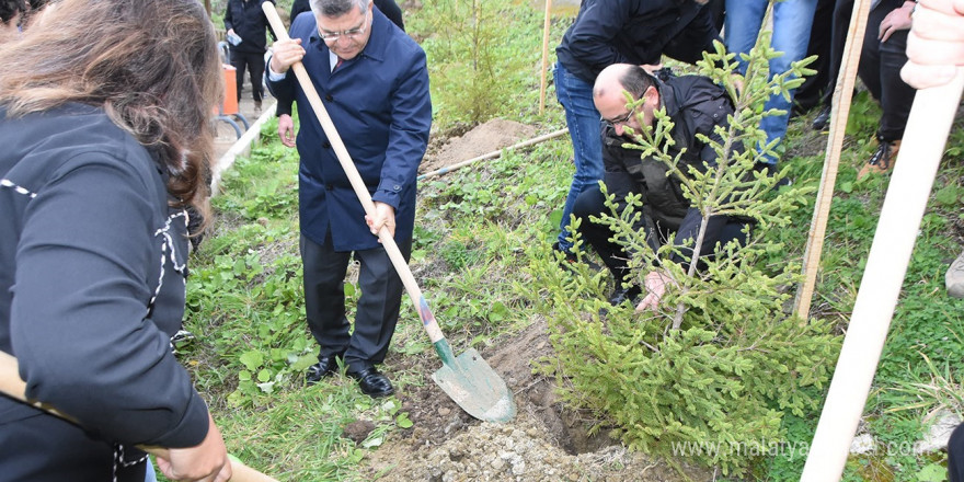 Sinop’ta 11 bin 610 fidan toprakla buluştu