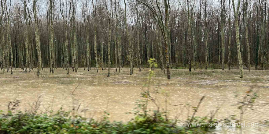 Sinop’ta dereler taştı