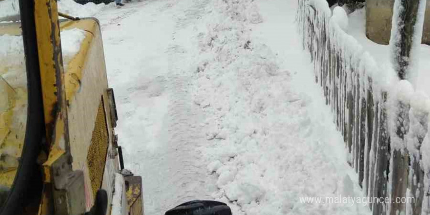 Sinop’ta fırtına ağaç devirdi, yol trafiğe kapandı