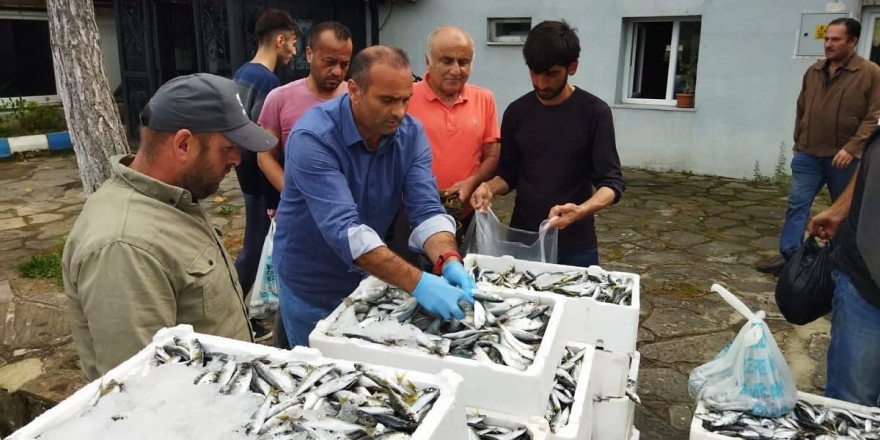 Sinop’ta yasa dışı avlanan 70 kasa balığa el konuldu