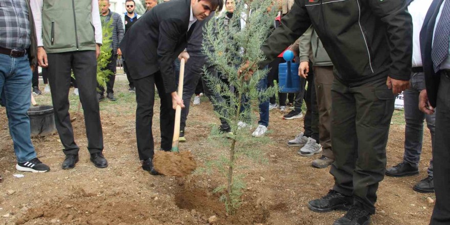 Şırnak’ta 250 bin fidan toprakla buluşacak