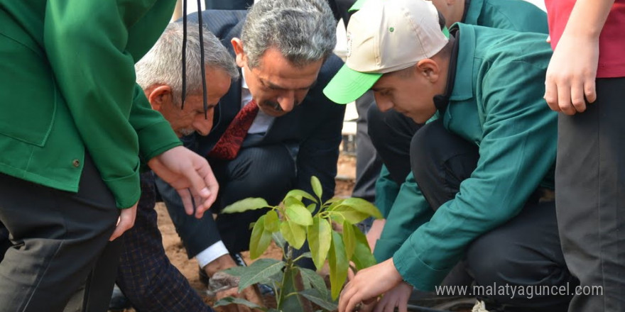 Şırnak’ta avokado, pepino, çarkıfelek ve papaya meyvelerinin fideleri ekildi