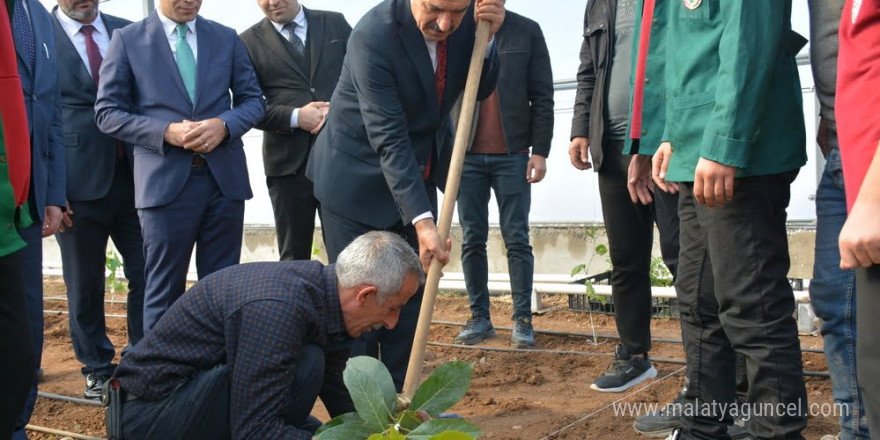 Şırnak’ta avokado, pepino, çarkıfelek ve papaya meyvelerinin fideleri ekildi