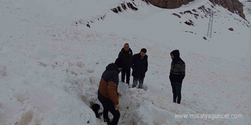 Şırnak’ta çığ düştü, kepçe operatörü ölümden döndü