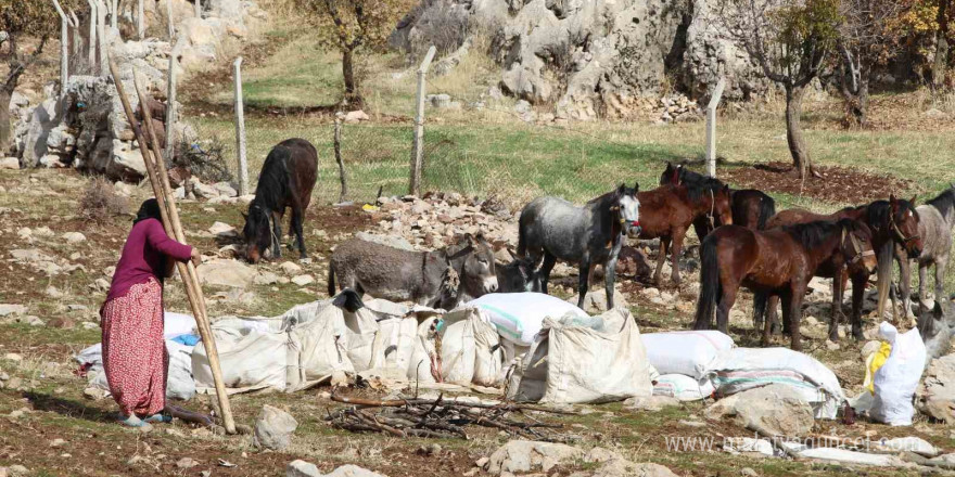 Şırnak’ta göçerlerin kışlaklara doğru zorlu yolculukları devam ediyor