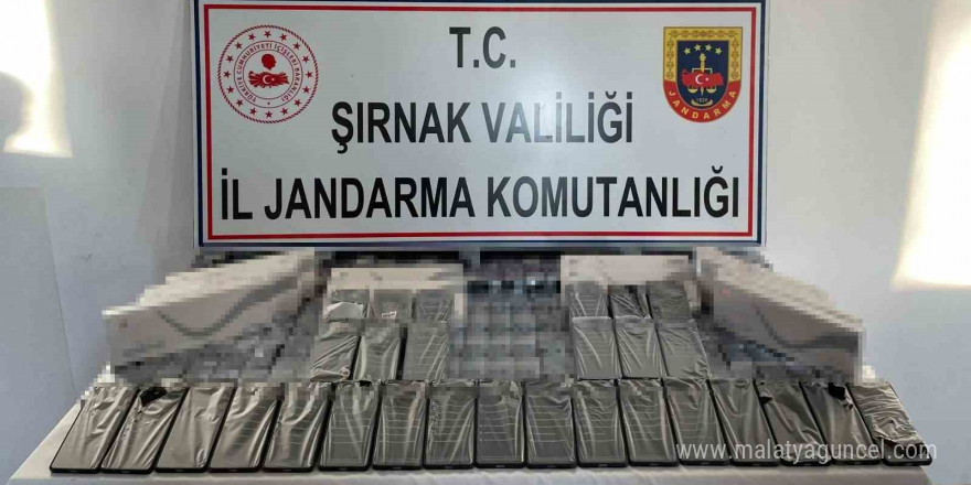 Şırnak’ta jandarma ekipleri 6 milyon 200 bin TL’lik kaçakçılığı önlendi