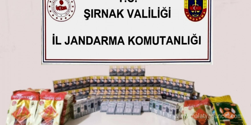 Şırnak’ta jandarma ekiplerinden asayiş ve kaçakçılık operasyonu