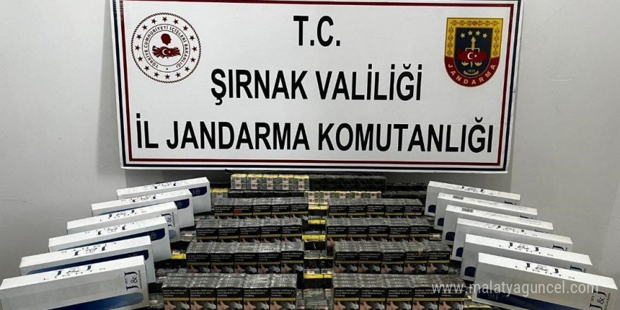 Şırnak’ta jandarma ekiplerinden kaçakçılara operasyon: 17 kişiye işlem yapıldı