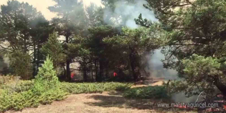 Sivas’ta örtü yangınına müdahale sürüyor