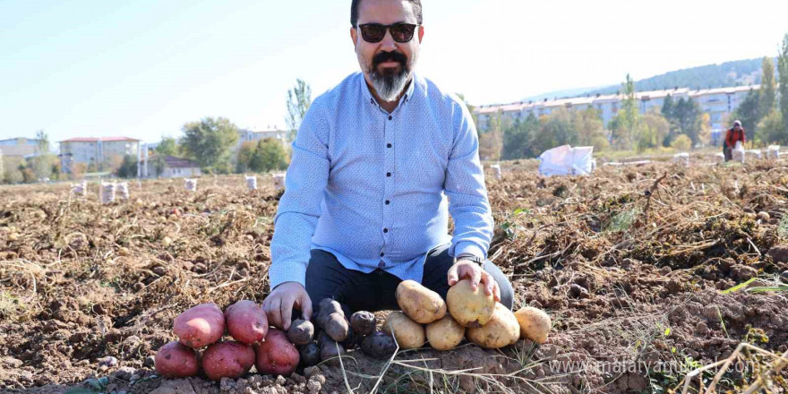 Sivas’ta renkli hasat başladı