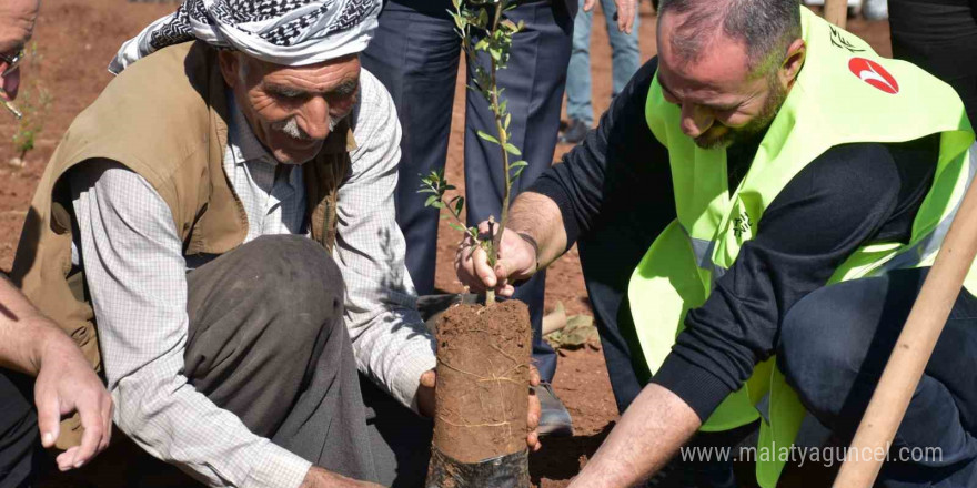 Siverek’te 12 bin meyve fidanı toprakla buluştu