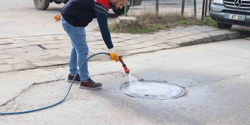 Sivrisinek ve haşere ile mücadele