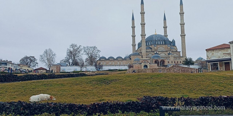 Soğuk ve yağışlı hava yurda giriş yaptı