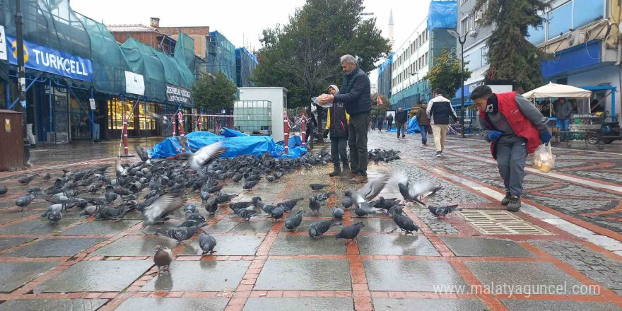 Soğukta aç kalan güvercinlerin yardımına yetiştiler