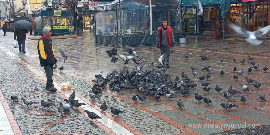 Soğukta aç kalan güvercinlerin yardımına yetiştiler