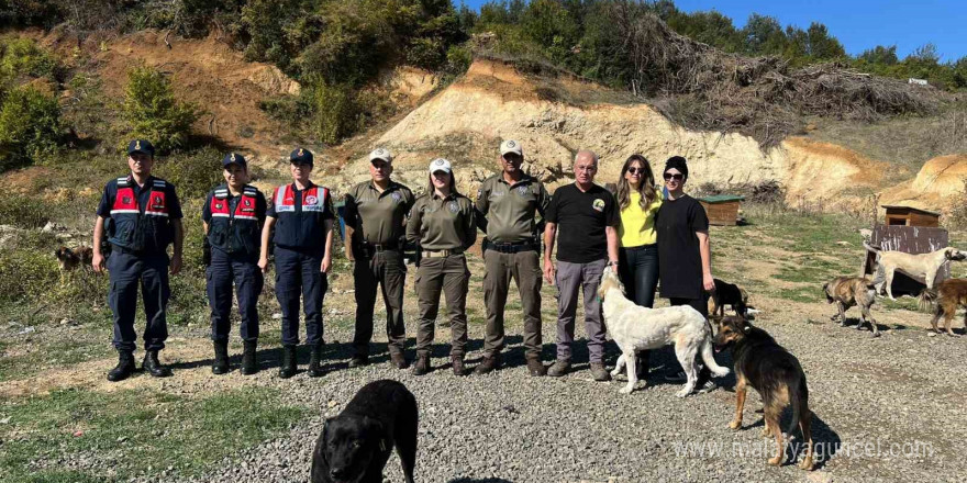 Sokak hayvanlarına destek