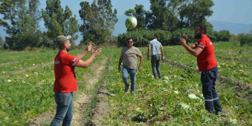 Söke Belediyesi vatandaşa karpuz dağıttı