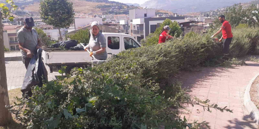 Söke Belediyesi’nden Park ve Bahçelerde yoğun çalışma