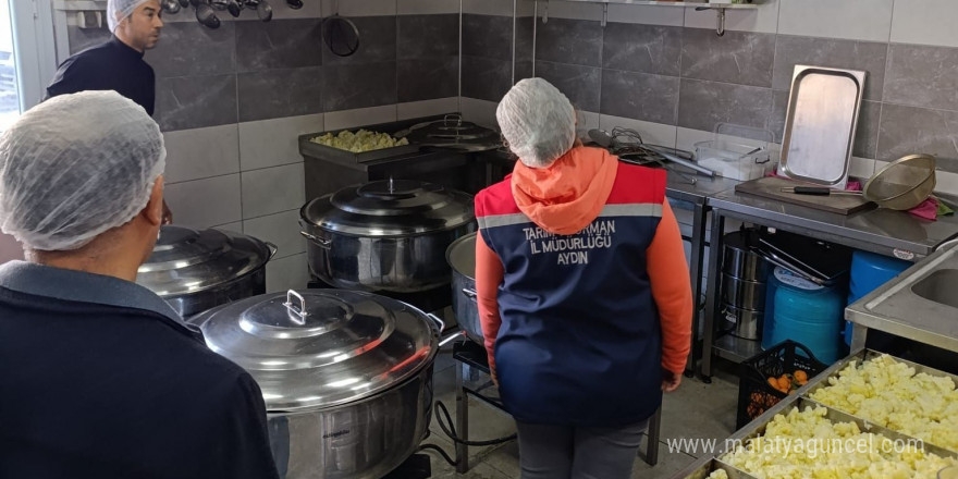 Söke’de 1 yılda 2 bin gıda işletmeleri denetlendi