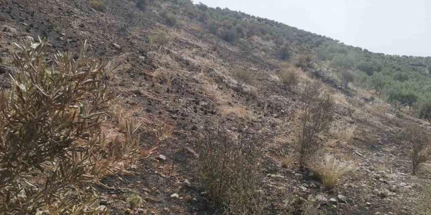 Söke’de yangından etkilenen yerler afet bölgesi ilan edildi