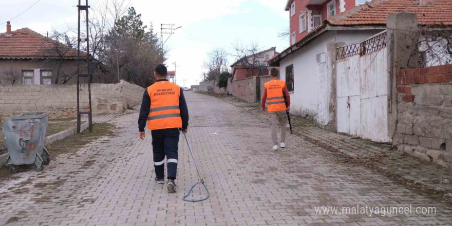 Sorgun Belediyesi ekipleri sokak hayvanları için sahada