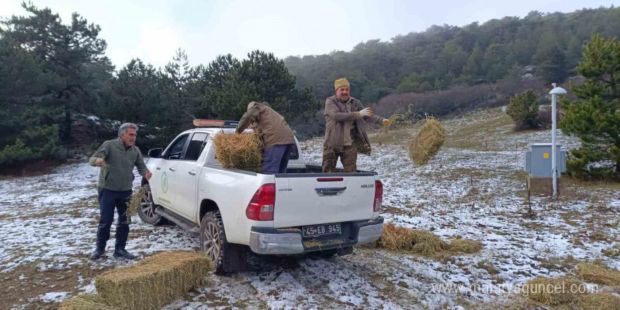 Spil’de yaban hayatı unutulmadı