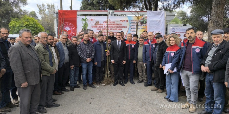 Sultanhisar’da 6 bin kestane fidanı dağıtıldı