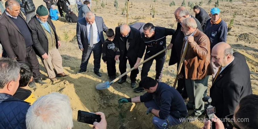 Sungurlu’da fidanlar toprakla buluştu