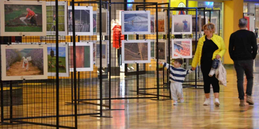 Tarım orman ve insan fotoğraflarda buluştu