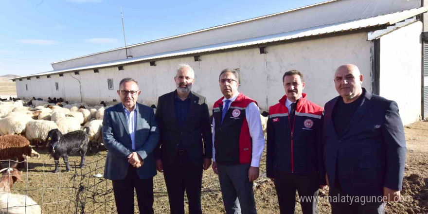 Tarım ve Orman Bakan Yardımcısı Gümen, Ahlat’ta tarım ve hayvancılık tesislerini gezdi