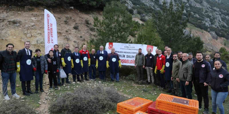 Tarım zararlılarıyla mücadele için doğaya keklik salındı