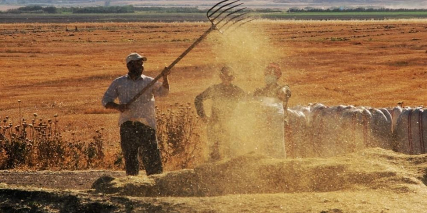 Tarımda üretici enflasyonu şubatta yüzde 58,29 oldu