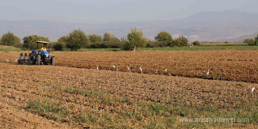 Tarlada çalışacak işçi bulamayınca 3 bin 500 kilometre yol kat edip babasına yardıma geliyor